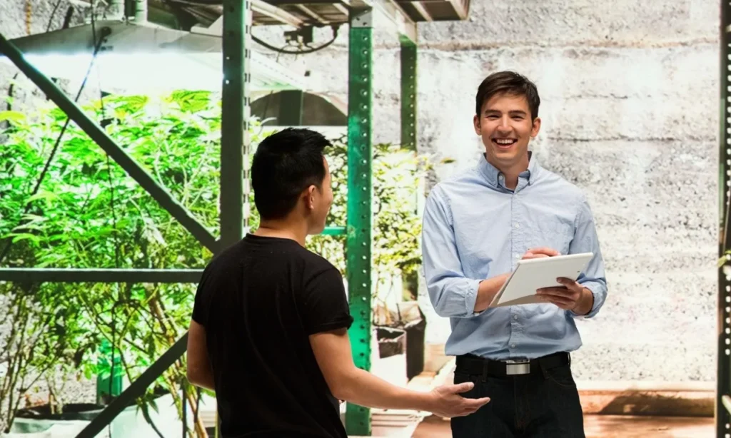 Marijuana business compliance lawyer helping cannabis business owners with legal licensing and compliance regulations